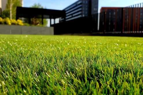 Synthetic and Natural Grass